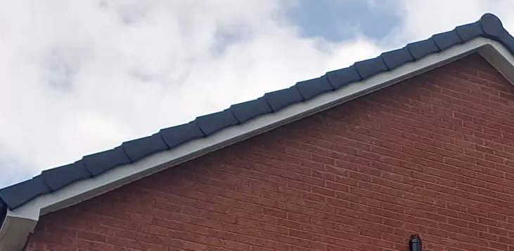Dry Verge Rainhill