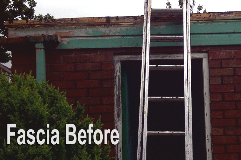 Fascia-Before Fascia Before